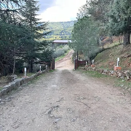Casa Fiestas 16 Personas, Barbacoa Y Terraza *